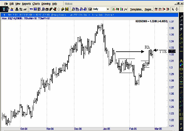 Joe Ross shares trading success with Traders Trick Entry and Ross Hook trading methods example trading education